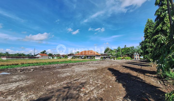 Tanah Kavling Murah dekat Terminal Ir. Soekarno Klaten
