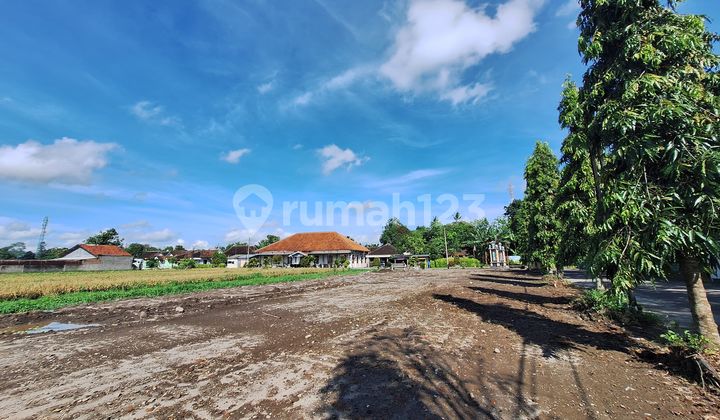 Tanah Kavling Murah - Area Terminal Baru Klaten