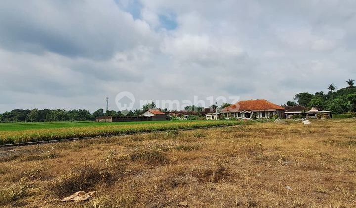 Tanah Murah di Selatan Terminal Ir Soekarno Klaten