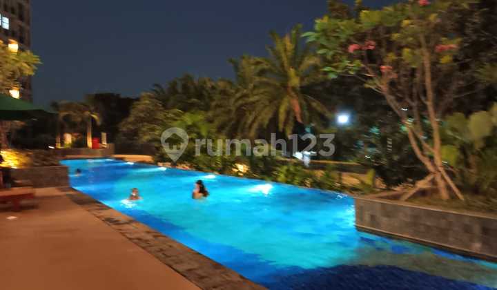 Quick Sale Ready-to-Occupy Transpark Cibubur Apartment
