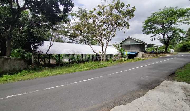 Strategic Land Plot in Karangpapak, Cisolok - Sukabumi