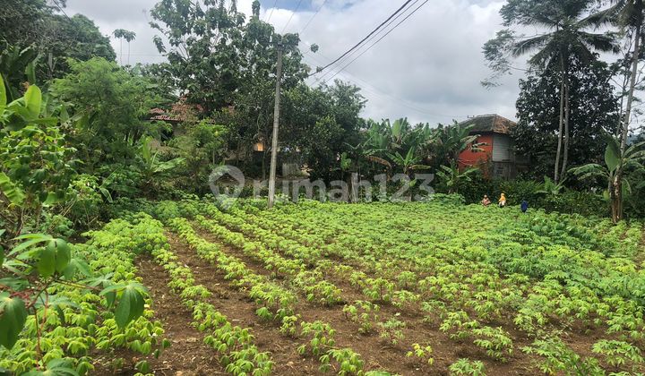 Lahan Darat & Datar Lokasi Stategis di Cikembar Sukabumi