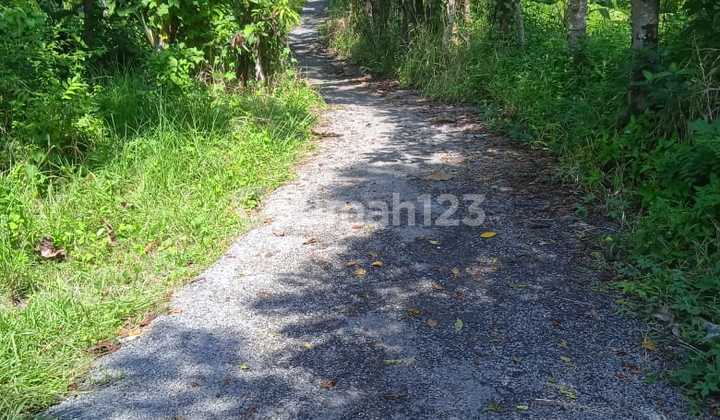 Strategic Land Plot in Karangpapak, Cisolok - Sukabumi