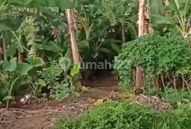 Strategic Land in Citeureup, Bogor Strategic Land in Citeureup, Bogor