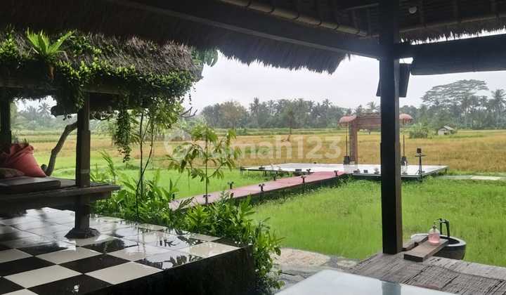 Beautiful Rice Field Restaurant Ubud Strategic Beautiful Rice Field Restaurant Ubud Strategic