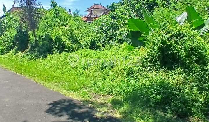 Tanah Jalan Pantai Saba Premium