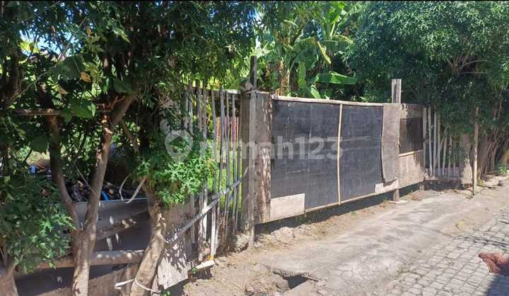 Tanah Jalan Sedap Malam Denpasar Timur