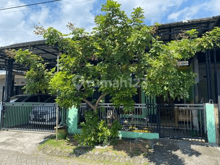 DIJUAL Rumah Murah Dan Bagus Di Wonoayu - Sidoarjo 1