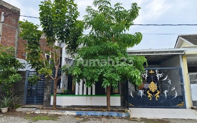 FOR SALE Cheap And Good House In Wage - Sidoarjo (200) FOR SALE Cheap And Good House In Wage - Sidoarjo (200)