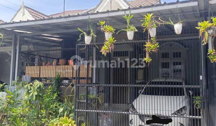 For Sale Cheap Nusa Bsd House