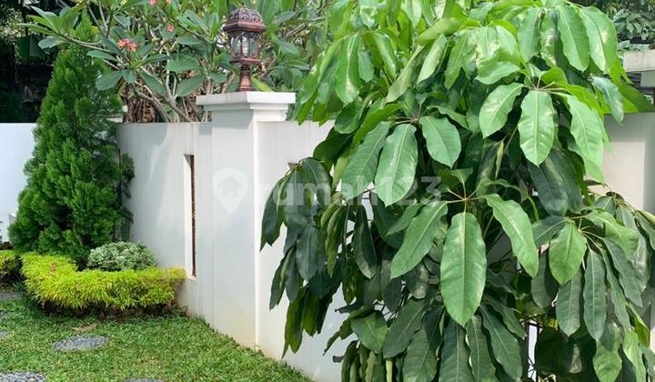 Luxury Home Anggrek Loka 2