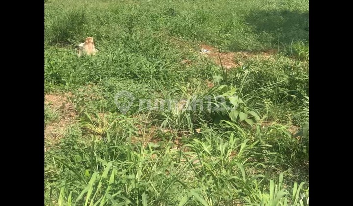 Kavling Di Pinggir Jalan Utama Strategis Jual Murah Cocok@untuk Buka Usaha Kavling Di Pinggir Jalan Utama Strategis Jual Murah Cocok@untuk Buka Usaha