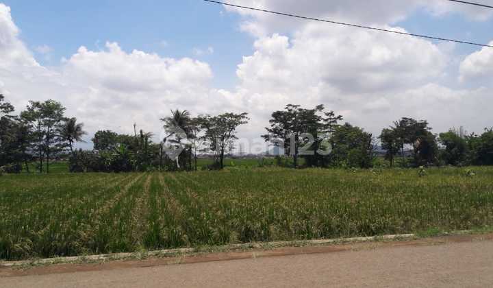 Dijual Tanah Strategis Di Depan Kantor Kecamatan – Shm Pribadi