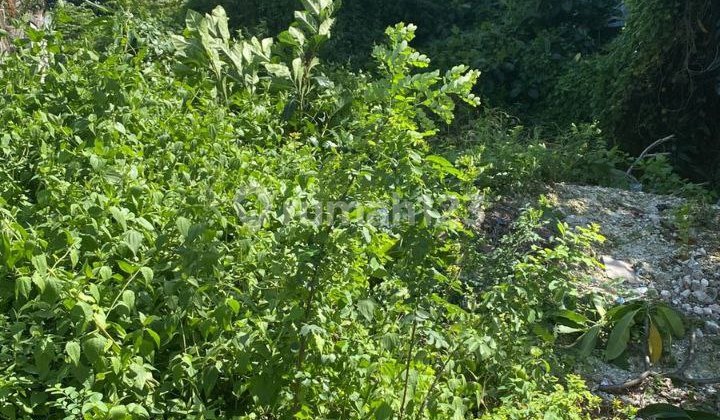 Tanah Shm Lokasi Premium – Sunset Road Kuta Dekat Pusat Bisnis