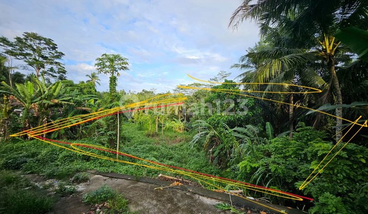 Tanah Di Daerah Mengwi Cocok Untuk Kaplingan Dengan Wilayah Yang Tenang Dan Masih Di Pedesaan Tanah Di Daerah Mengwi Cocok Untuk Kaplingan Dengan Wilayah Yang Tenang Dan Masih Di Pedesaan