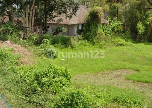 Jalan Tirta Tawar Strategis Dekat Central Ubud