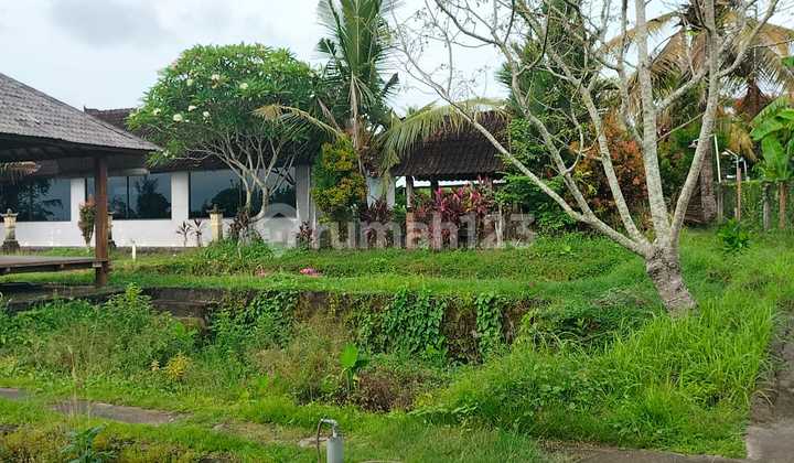 Tanah Kemenuh Tengkulak Ubud Tanah Kemenuh Tengkulak Ubud