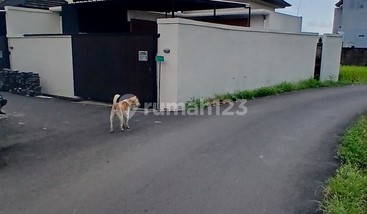 Private Room Residence with a Rural Atmosphere