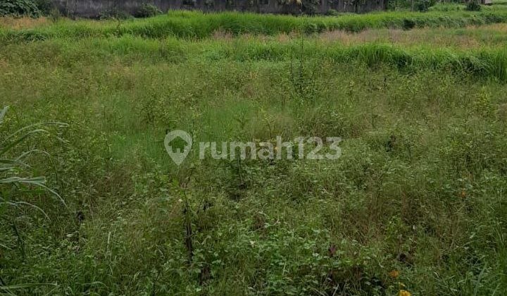 Tanah Di Tempat Strategis Di Tengkulak Kelod Ubud Gianyar Tanah Di Tempat Strategis Di Tengkulak Kelod Ubud Gianyar