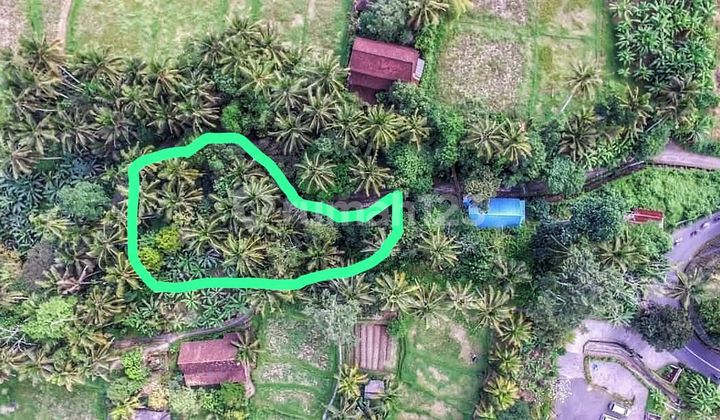 Lahan Strategis Ubud Peliatan Lahan Strategis Ubud Peliatan