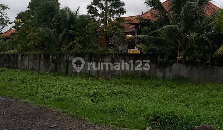 Tanah Tengkulak Kelod Ubud Tanah Tengkulak Kelod Ubud