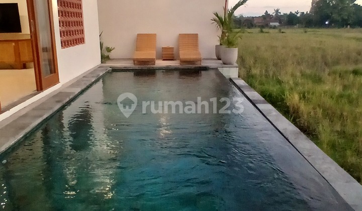 Singapadu Villa Near Seseh Beach