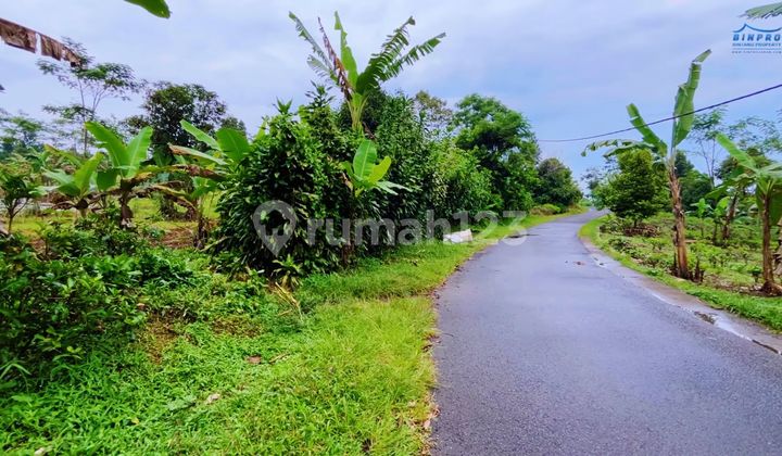 Jual Tanah Kebun Pinggir Jalan Besar di Kiarapedes Purwakarta Jual Tanah Kebun Pinggir Jalan Besar di Kiarapedes Purwakarta