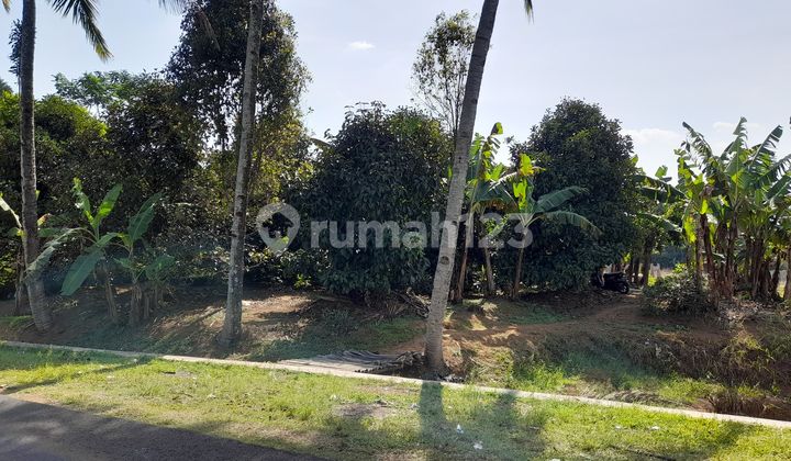 For Sale: Garden and Rice Field Land by the Roadside in Rural Purwakarta