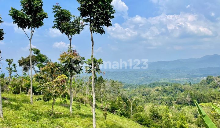 Dijual Tanah 1097 m2 Pemandangan Bagus Udara Dingin di Sumedang Selatan Dijual Tanah 1097 m2 Pemandangan Bagus Udara Dingin di Sumedang Selatan
