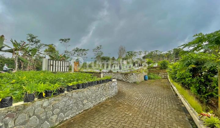 Dijual Tanah + Sawah ada Mata Air + Bangunan Rumah di Darangdan Purwakarta Dijual Tanah + Sawah ada Mata Air + Bangunan Rumah di Darangdan Purwakarta