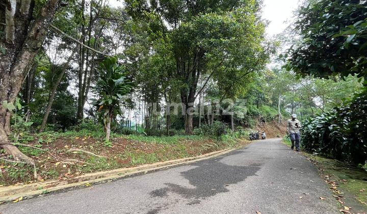 Dijual Tanah Kebun Cengkeh Pinggir Jalan Udara Dingin Bojong Purwakarta