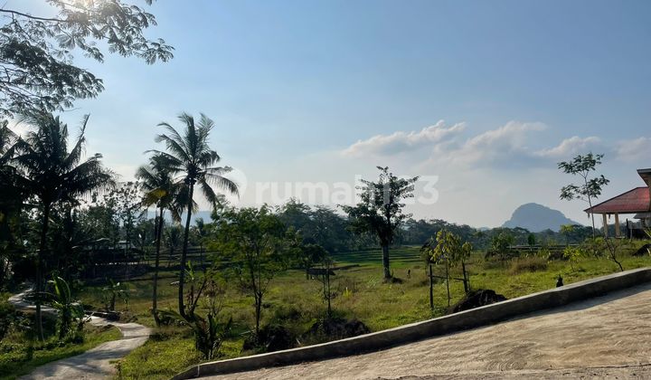 Jual Murah Tanah Darat dan Sawah Ada Air Mengalir di Tanjungkerta Sumedang