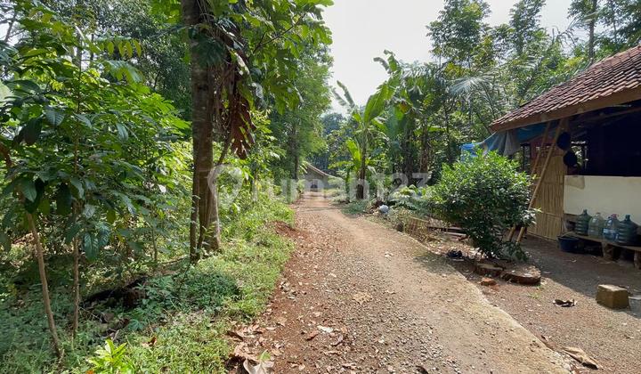 Jual Tanah Kebun Datar Akses Mobil di Darmaraja Sumedang