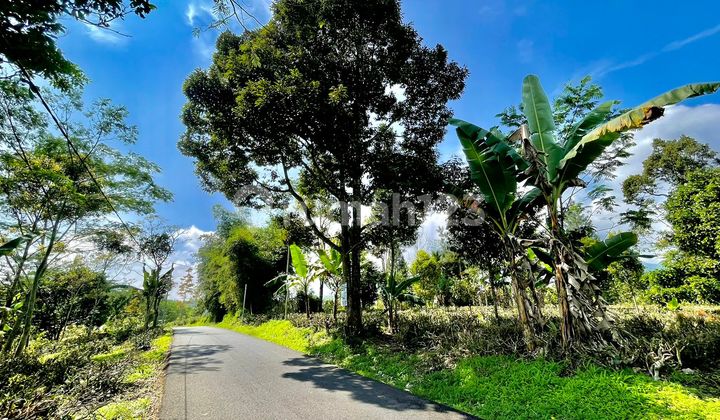 Dijual Tanah Kebun Pemandangan Bagus Udara Dingin Bojong Purwakarta