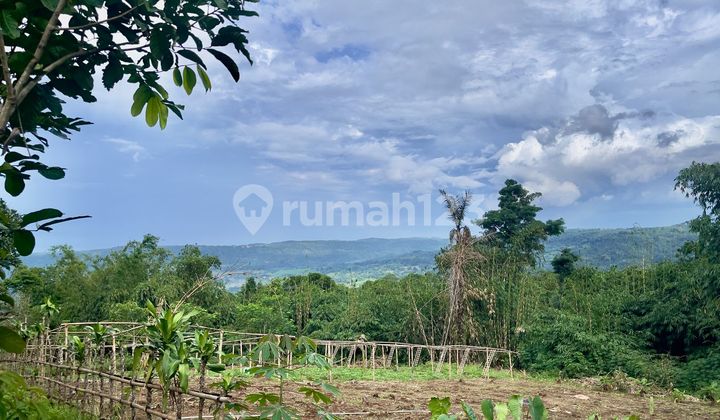 Jual Tanah Kebun 2183 m2 Daerah Kampung Udara Sejuk Bojong Purwakarta