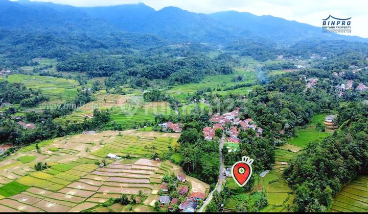 Land and Rice Field for Sale in the Cold Region of Bojong Wanayasa Border Area