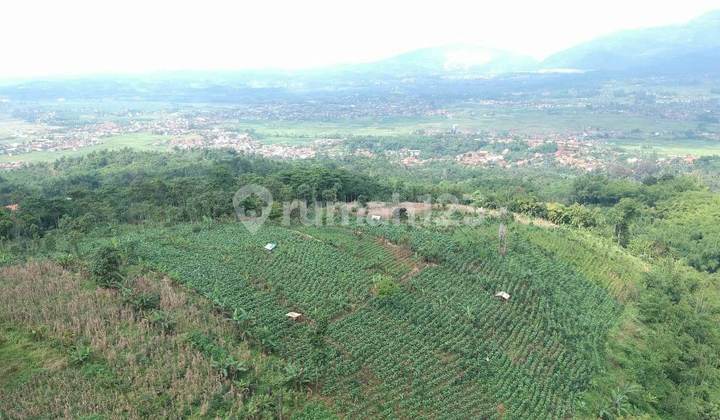Dijual Murah Tanah di Dataran Tinggi Udara Sejuk Kadungora Garut Dijual Murah Tanah di Dataran Tinggi Udara Sejuk Kadungora Garut