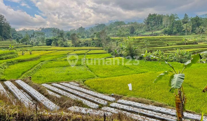 Dijual Tanah Ladang ada Air Mengalir Udara Sejuk Bojong Purwakarta