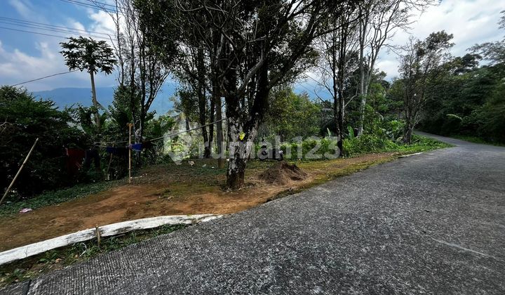 Tanah Kebun Pinggir Jalan Pemandangan Bagus di Wanayasa Purwakarta Tanah Kebun Pinggir Jalan Pemandangan Bagus di Wanayasa Purwakarta