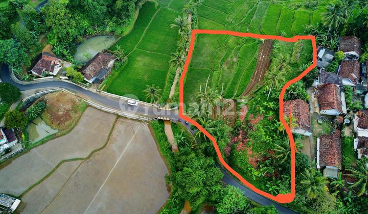 Murah Tanah Darat dan Sawah Air Mengalir di Darangdan Purwakarta Murah Tanah Darat dan Sawah Air Mengalir di Darangdan Purwakarta