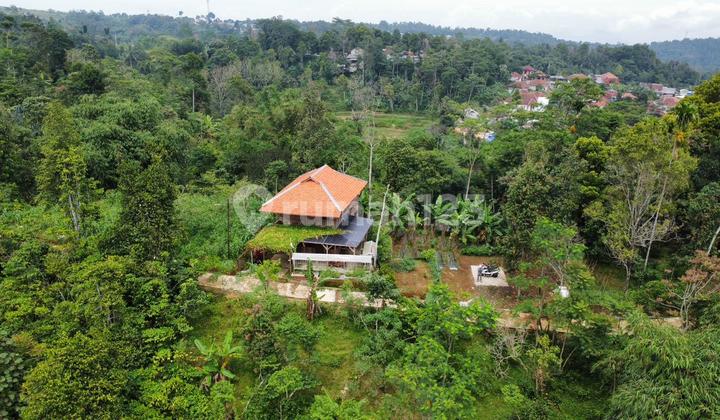 For Sale Wooden House + Garden + Gazebo + Fish Pond with Beautiful View in Bojong Purwakarta For Sale Wooden House + Garden + Gazebo + Fish Pond with Beautiful View in Bojong Purwakarta
