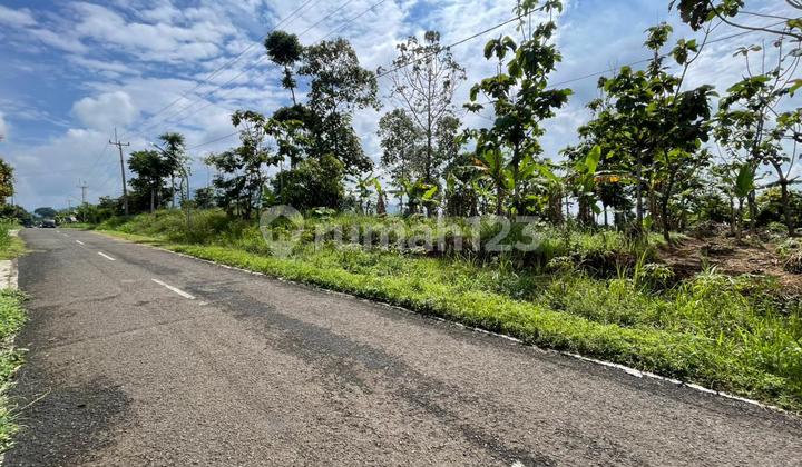 Land for Sale by the Main Road in the Cool Area of South Sumedang Land for Sale by the Main Road in the Cool Area of South Sumedang