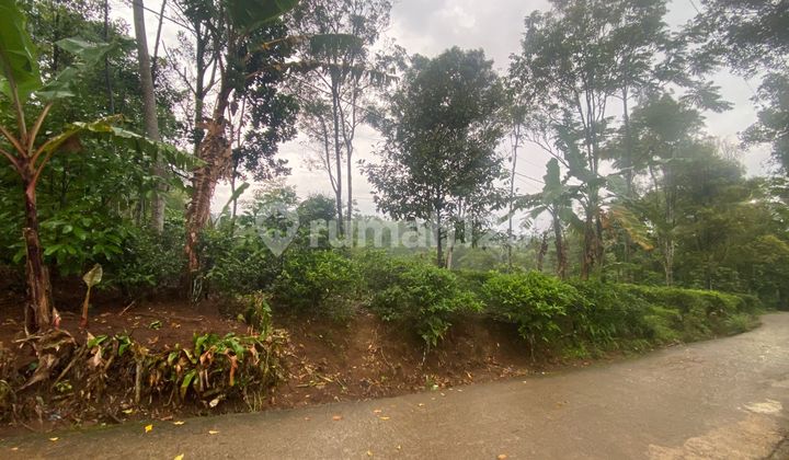 Jual Tanah Kebun Pinggir Jalan Desa di Bojong Purwakarta