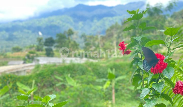 Dijual Tanah Sawah di Dekat Tempat Wisata Wanayasa Puwakarta