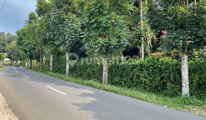 Selling Garden Land by the Main Road in Bojong Wanayasa, Purwakarta