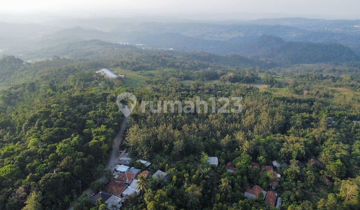 Dijual Tanah Kebun Produktif Akses Mobil di Kertasari Bojong Purwakarta Dijual Tanah Kebun Produktif Akses Mobil di Kertasari Bojong Purwakarta