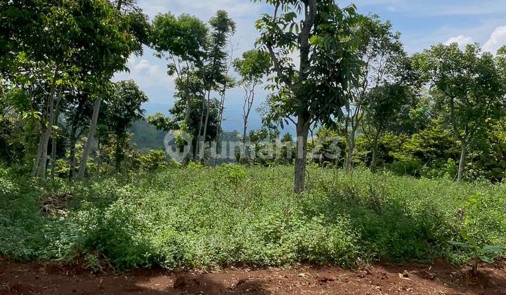 Land for Sale by the Main Road in the Cool Area of South Sumedang Land for Sale by the Main Road in the Cool Area of South Sumedang