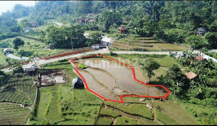 Jual Tanah Sawah Pinggir Jalan Lebar di Bojong Purwakarta 