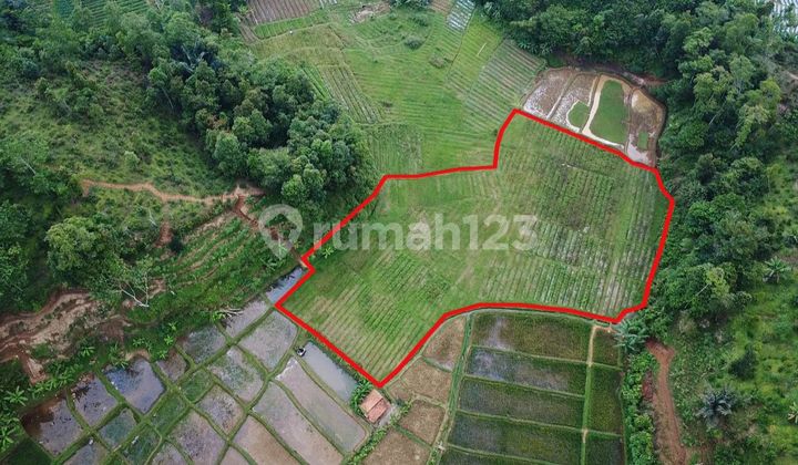 Dijual Tanah 3669 m2 Ada Air Mengalir di Bojong Purwakarta