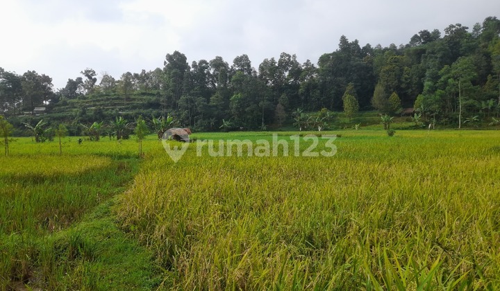 Jual Tanah Sawah 1000 m2 di Kawasan Villa Cihanjawar Bojong Purwakarta